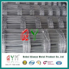 Galvanized Wire Mesh/ Twisting Mesh Roll for Farm